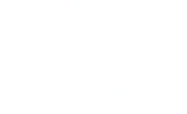 Radical Loyalty
